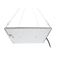Lampada LED Quantum 100W Full Spectrum