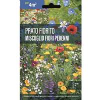 Prato Fiorito Miscuglio Fiori Perenni - Sem. Dotto