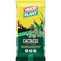 Terriccio per Cactacee da 20LT - Vigorplant