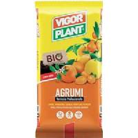 Terriccio per Agrumi - 20 LT - Vigorplant