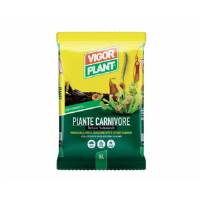 Piante Carnivore 5LT - Vigorplant
