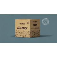 BioBizz - All Pack - Outdoor 500ml