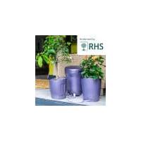 Autopot - Khloris Sistema Idroponico completo Viola