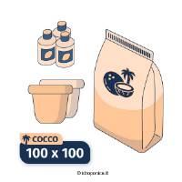 Kit Indoor Cocco 100x100
