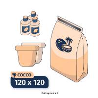 Kit Indoor Cocco 120x120