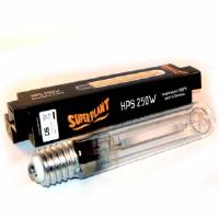 Bulbo Coltivazione SuperPlant HPS 250W - Fioritura