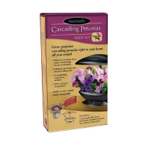 Kit semi Petunia per Aerogarden