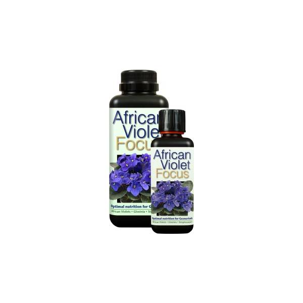 African Violet Focus - Growth Technology