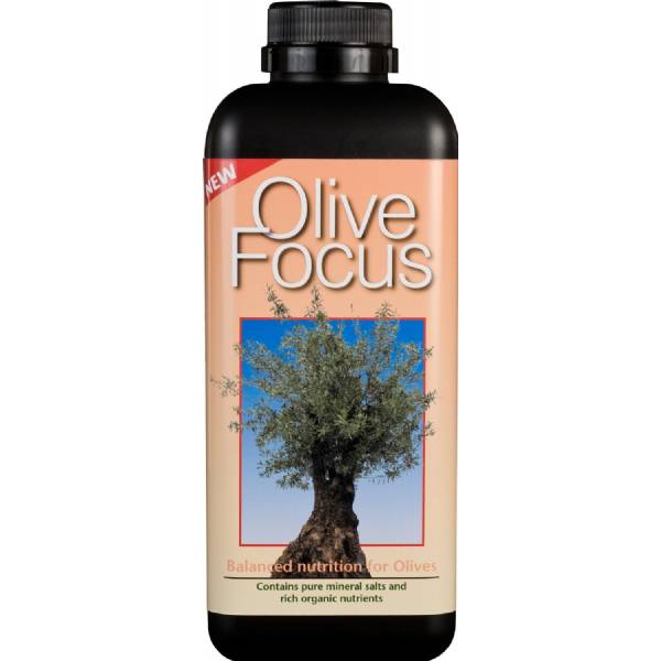 Olive Focus - Growth Technology