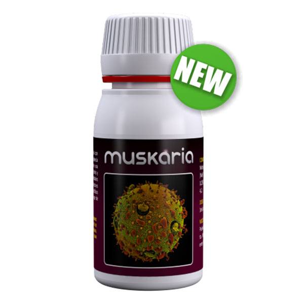 Agrobacterias - Muskaria 60 ml