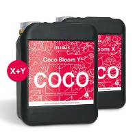 CellMax COCO  Bloom X+Y 2x5L