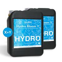 CellMax HYDRO Bloom X+Y 2x5L