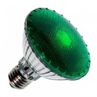 Bulbo Verde DarkNight 20W