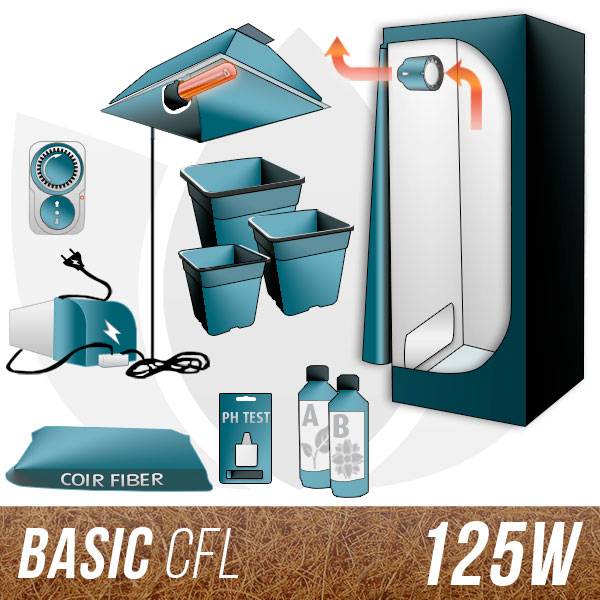 Kit Cocco indoor 150w CFL + Grow Box Allestita