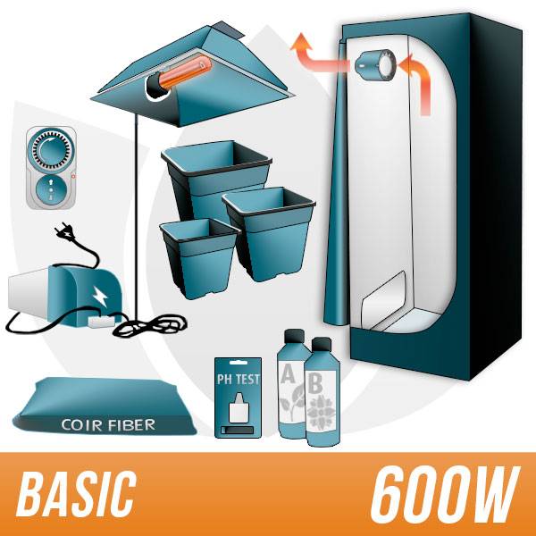 Kit Cocco 600w + Grow Box Allestita