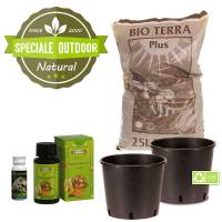 Speciale Outdoor: Kit Autofiorenti Bio (2 piante)