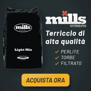 Terriccio Light Mix 50L