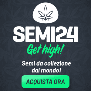 Acquista semi da collezione