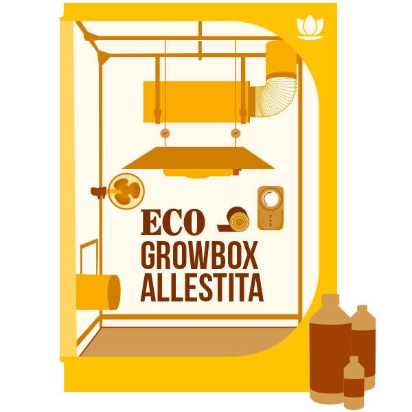 ECO Grow Box Allestita 600W AGRO + OMAGGIO