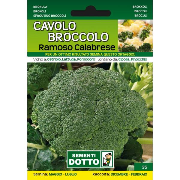 Sementi da Orto - Cavolo Broccolo Ramoso Calabrese - Sem. Dotto