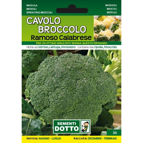 Graines De Brocoli Calabrais - Sachet Hermétique - Germination 95% - Fabriqué En Italie - Instructions Incluses