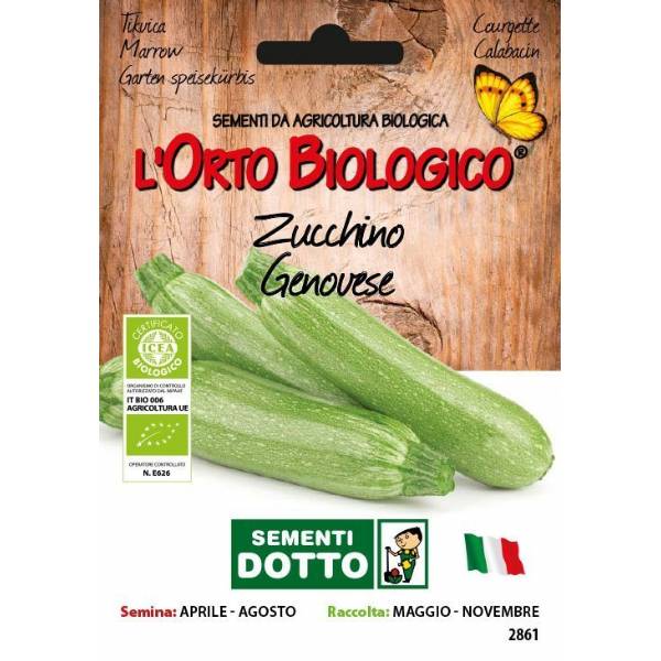 Semi biologici di Zucchino Genovese 