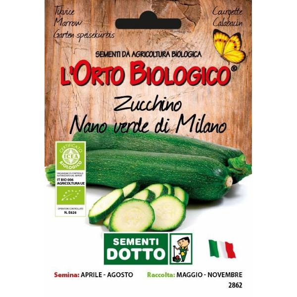 Semi biologici di Zucchino Nano Verde Milano