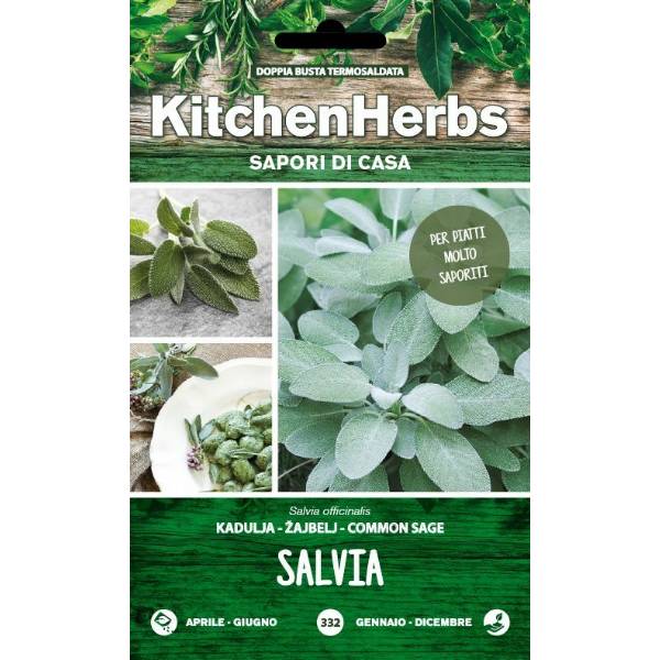 Kitchen Herbs - Salvia Officinale - Sem. Dotto