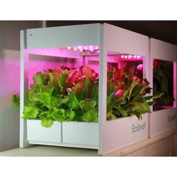 Smart Garden Ecoltivo