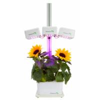 Hydroponic Smart Garden - 3 Lampade - 4 Piante - GreenDea