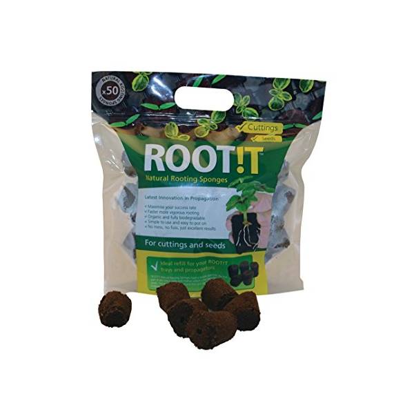 ROOT!T - Natural Rooting Sponges - 50 cubi